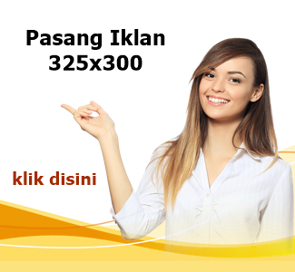 banner 325x300